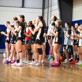 sports fans cheering